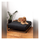 Noir â€“ Cama Elevada Negra para Perros
