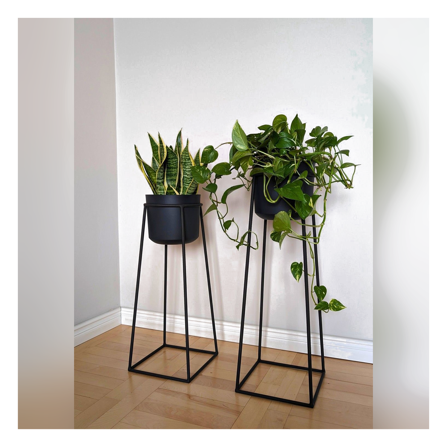 Oro Prism 3 â€“ Portamatera Negro Elevado